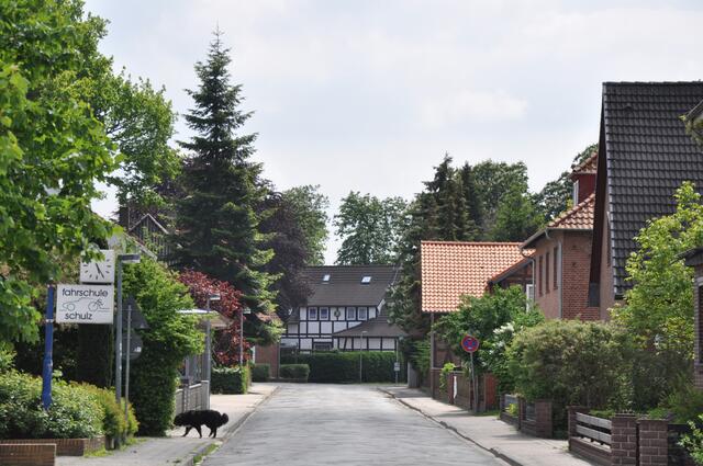 Im Detail - Hänigsen im Burgdorfer Land - ein Bericht von OKOK TELEVISION