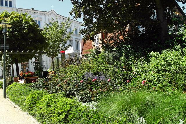 Der Rosengarten liegt in unmittelbarer Nähe des Stadtzentrums.