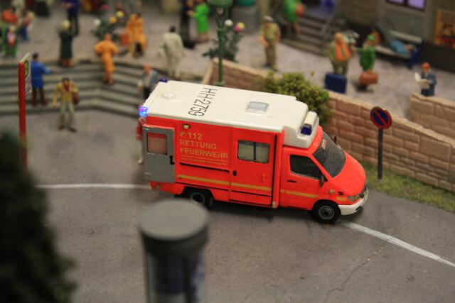 doch einer hat es nicht mehr geschafft und wird nun durch den Rettungsdienst versorgt .....
