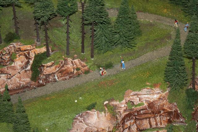 Rolli Roller ist doch Lebensmüde ! Rollt er mit seinem Rolli den Berg runter .... Ob das mal gut geht ? .....