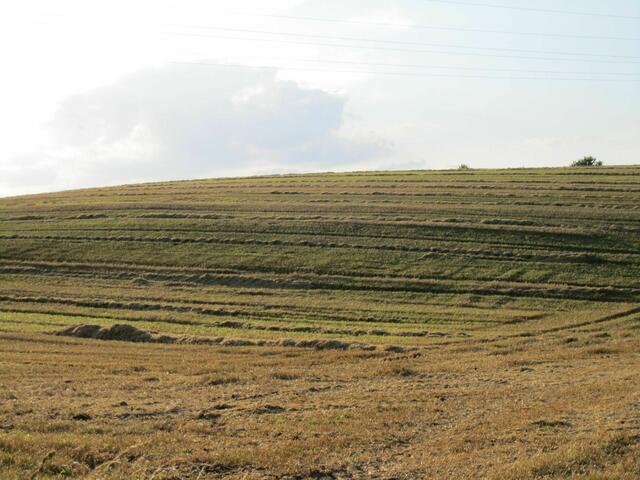 abgeerntet