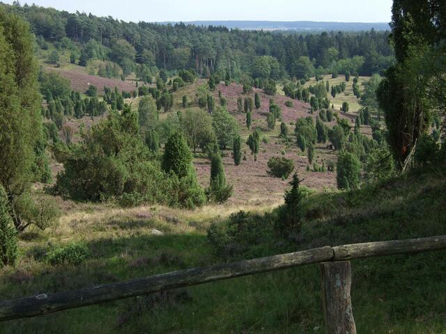 Totengrund