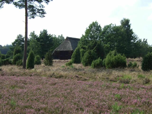 Steingrund