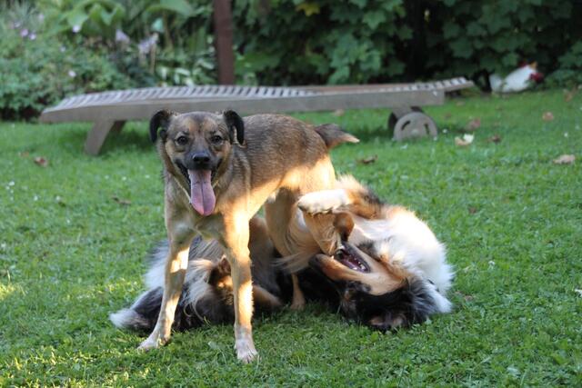 "Frauchen, schau mal!"