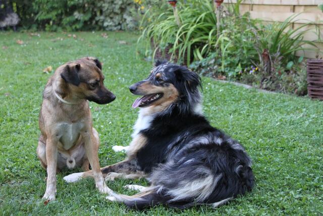 "Schau mir in die Augen, Kleines!"