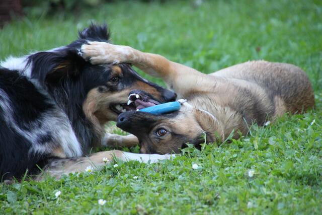 "Du hast den Ring und ich hab´dich!"