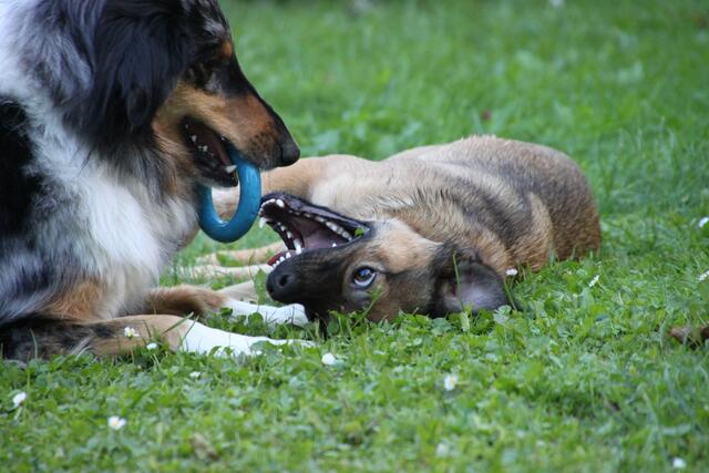 "Okay, es ist dein Ring!"