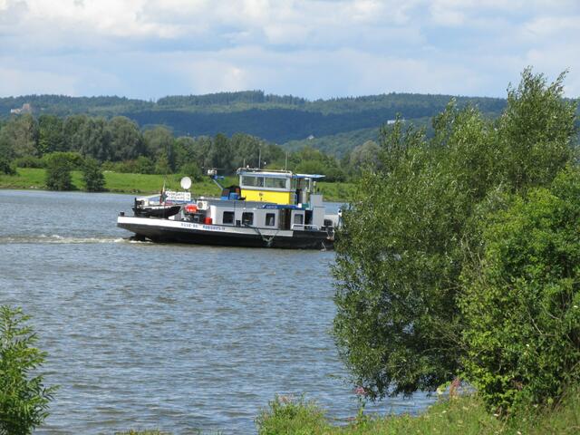 Schiffe begleiteten unseren Weg, manchmal war ich neidisch ,-)