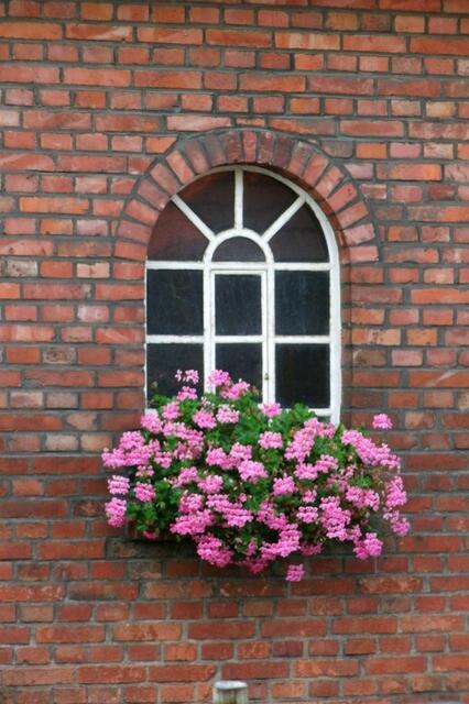 Blühender Wohlstand ...