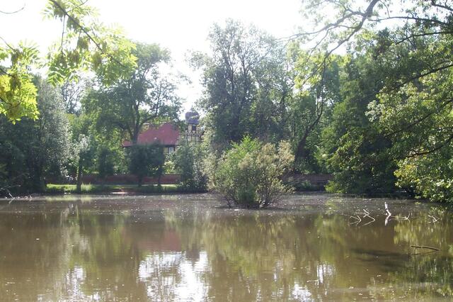 Der Teich liegt vor mir