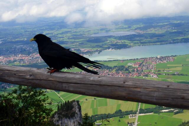 Schöner Blick ins Tal