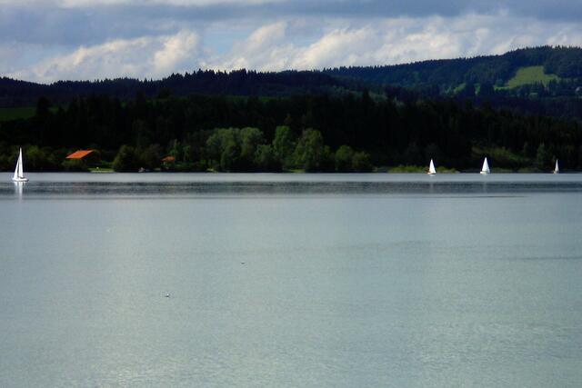 Ein gutes Segelwetter