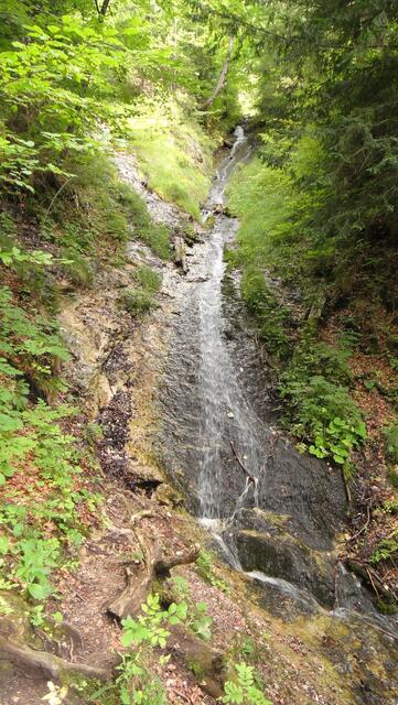 Wasser am Wegesrand