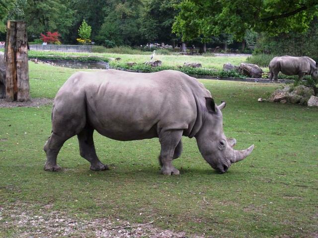 Ich geh jetzt, die haben genug Foto`s von mir gemacht!