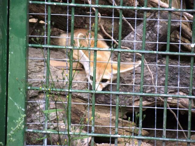 Ruhe! Ich will meine Ruhe!