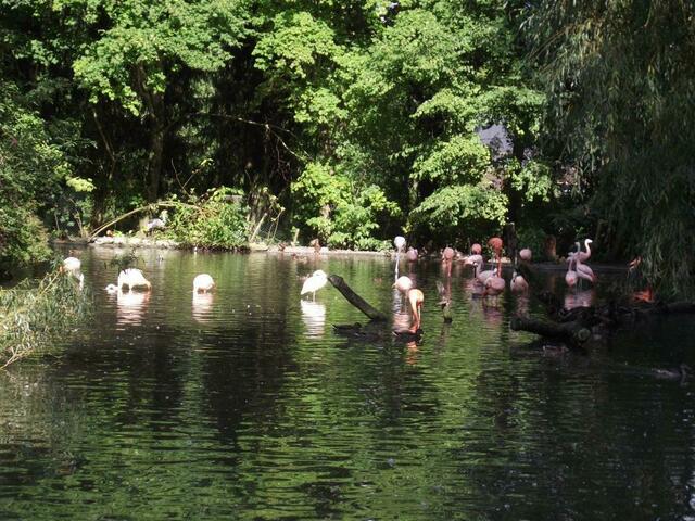 Bloß nicht bewegen, sonst ist das Bild von den Besuchern wieder verwackelt!