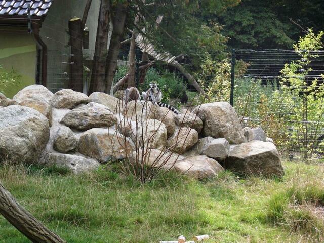 Liebe Mitbewohner: Wer holt sich die Breze von dem Mädchen direkt am Steg? ... Auf die Plätze, fertig ...