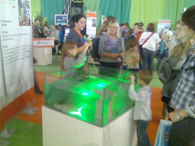 Kugeln fischen