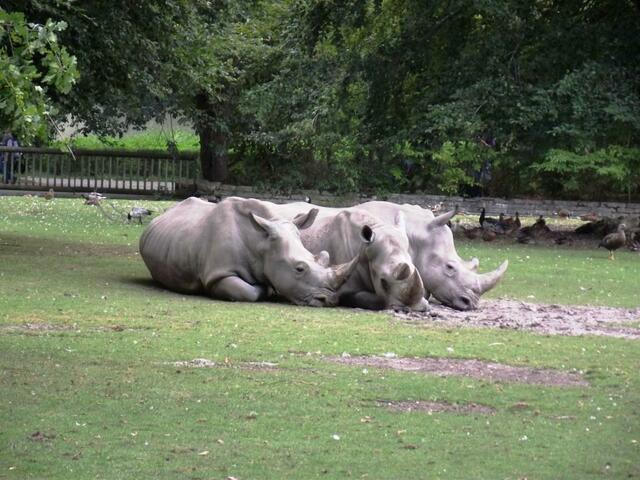 Da guck, die gucken uns an!