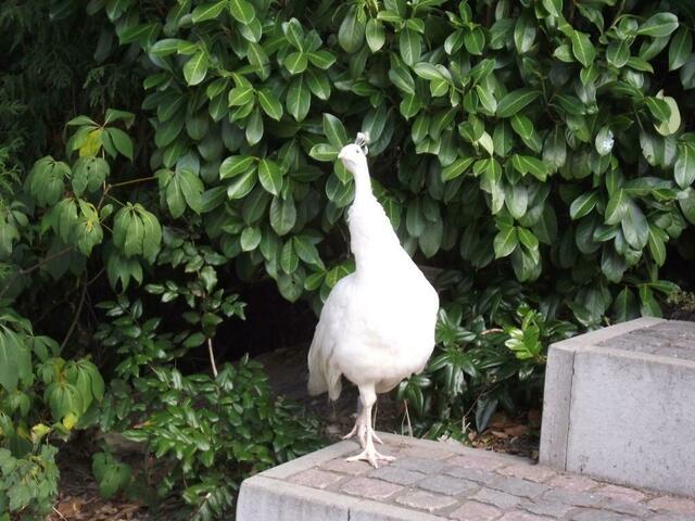 Und wer bist Du???????????