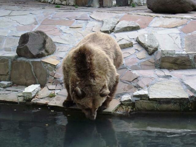 Und wieder kein Fisch im Wasser - den Pfleger knöpfe ich mir demnächst vor!
