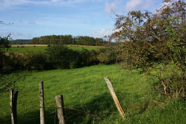 Es wird herbstlich...