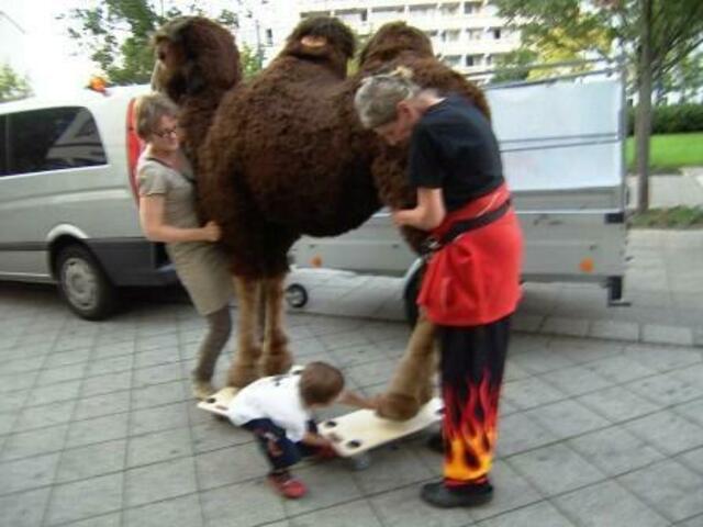 Helden des Tages: Soraya bekommt von Brian ihren kleinen Hund untergeschoben; Oma Roth und ich helfen dabei.