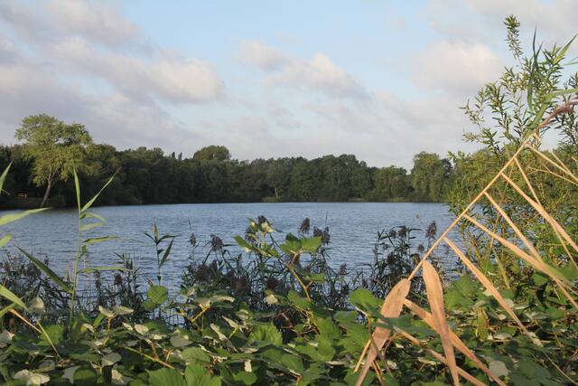 Ein Blick auf den See