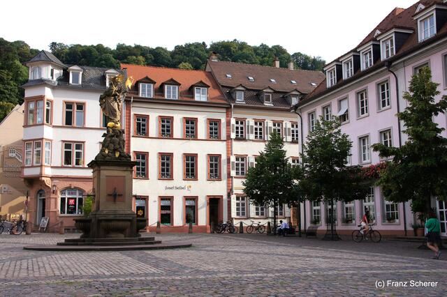 Sommerbilder 2011 (4) - Heidelberg. Der Kornmarkt mit dem Mutergottesbrunnen