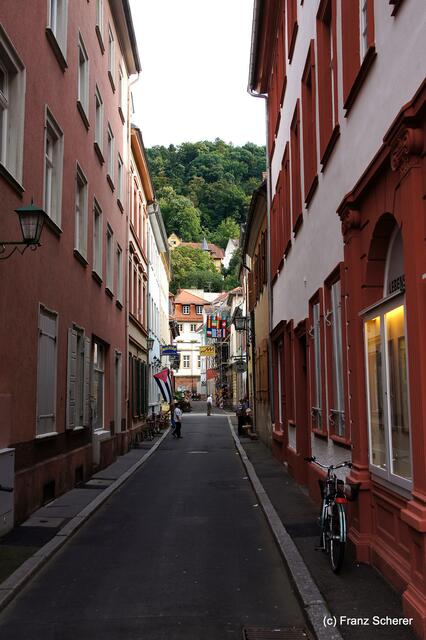 Sommerbilder 2011 (4) - Heidelberg.