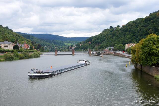 Sommerbilder 2011 (4) - Heidelberg. Schiffstreiben auf dem Neckar