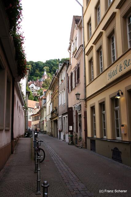 Sommerbilder 2011 (4) - Heidelberg.