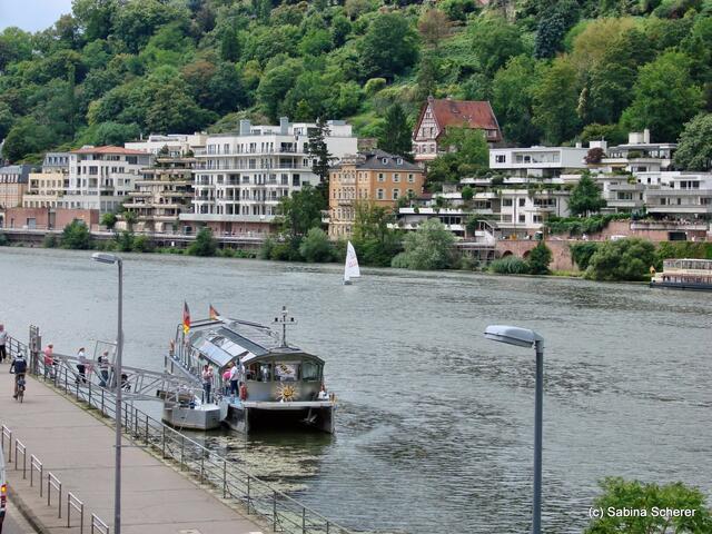 Sommerbilder 2011 (4) - Heidelberg. Schaubootfahren auf dem Neckar