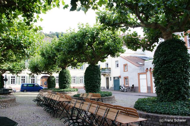 Sommerbilder 2011 (4) - Heidelberg.