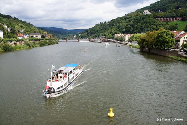 Sommerbilder 2011 (4) - Heidelberg. Schiffstreiben auf dem Neckar