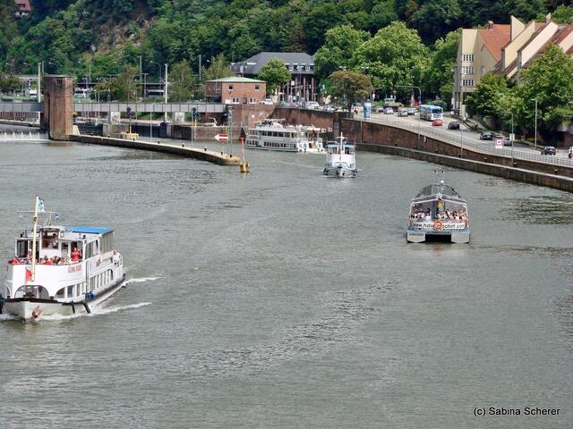 Sommerbilder 2011 (4) - Heidelberg. Schiffstreiben auf dem Neckar