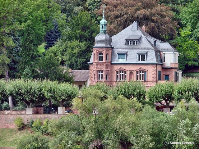 Sommerbilder 2011 (4) - Heidelberg.