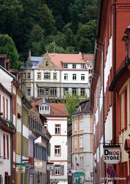 Sommerbilder 2011 (4) - Heidelberg.
