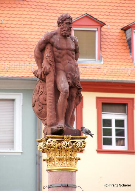 Sommerbilder 2011 (4) - Heidelberg. Herkuelsbrunnen
