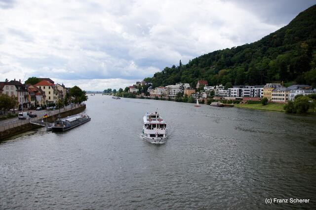 Sommerbilder 2011 (4) - Heidelberg. Schiffstreiben auf dem Neckar