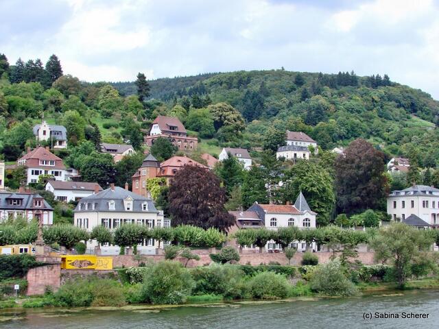 Sommerbilder 2011 (4) - Heidelberg.