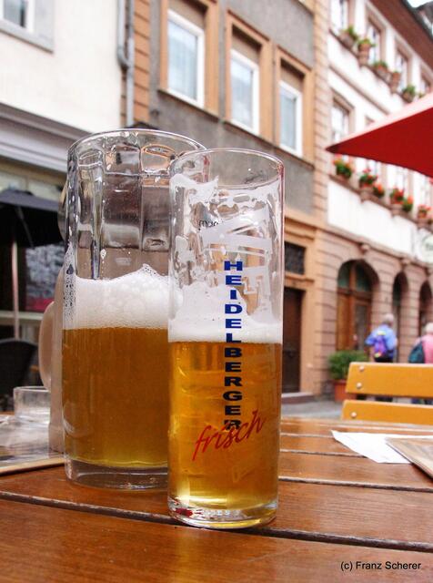 Sommerbilder 2011 (4) - Heidelberg. Kulturpause