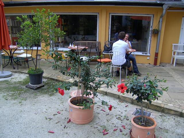Wo im September der Hibiskus blüht: Mein zufällig entdeckter Geheimtipp in der Kasseler Karawanserei: Das Café BuchOase in der Germaniastrasse Kassel vereint Café, Antiquariat und Buchoase unter einem Dach und in einem Hinterhof. Es bietet zudem Seminar- und Tagungsräume sowie einen recht professionell ausgerüsteten Veranstaltungsraum.