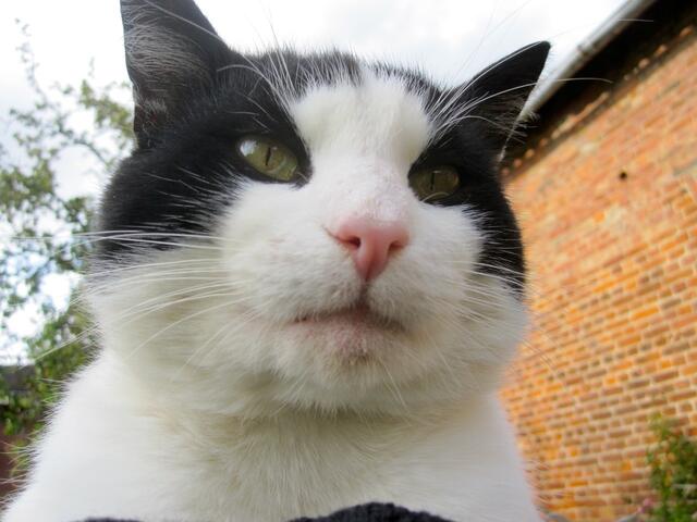 Bist du da ganz sicher???????