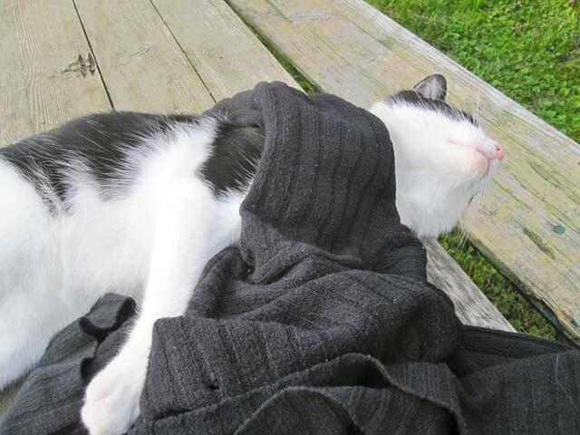 Da war doch schon wieder was - ganz in der Ferne: "Gib mir meinen Pullover wieder!"