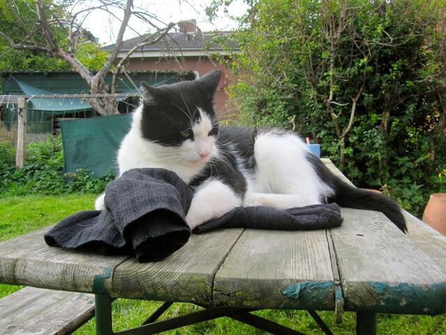 Wie, das ist keine Decke?