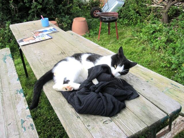 Jetzt gehört sie mir allein - für immer!