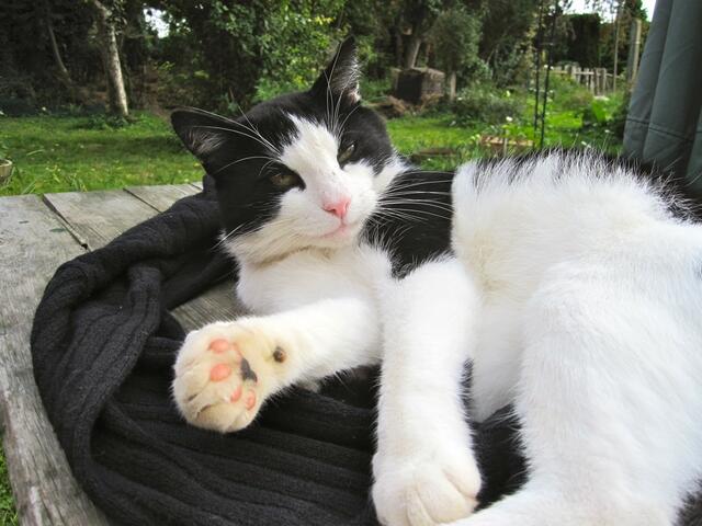 Findest du etwa, dass meine Decke ...