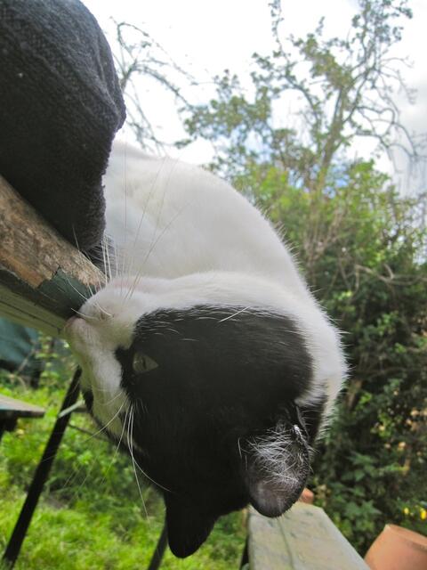 Hä - ist da jemand unter dem Tisch?