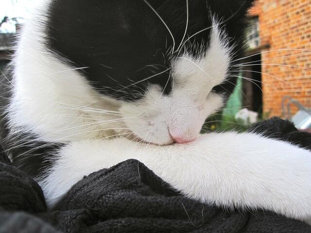 Ich gebe dir etwas Bedenkzeit ...!